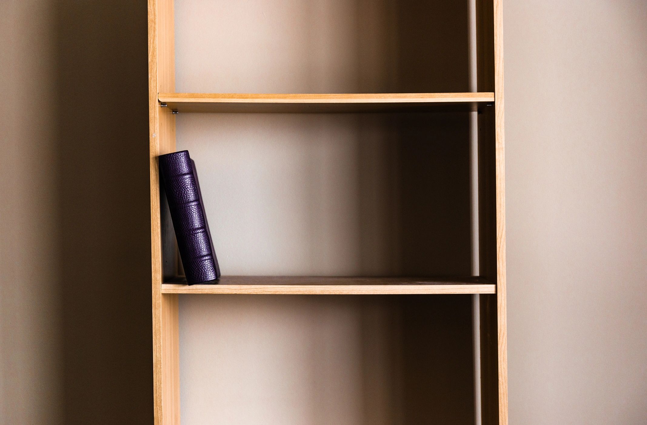 Book on a shelf, used as a neutral customer avatar image